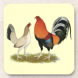 Gamefowl Wheatens Coaster