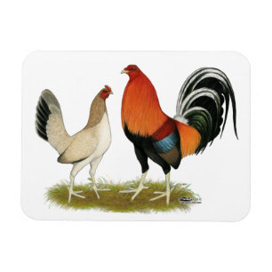Gamefowl Wheatens Magnet