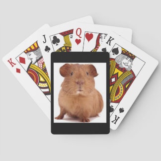 gamer playing cards