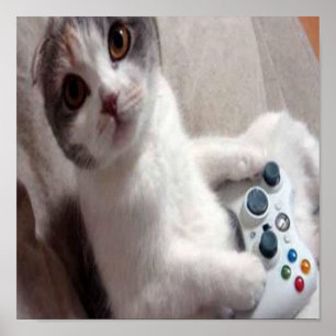 Gaming Cat - poster