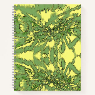 Gamma Burst Notebook