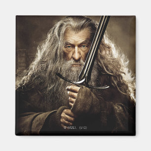 Gandalf Character Poster 1 Magnet