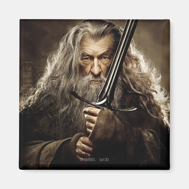 Gandalf Character Poster 1 Magnet (Front)