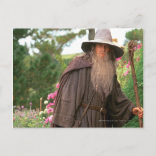 GANDALF™ with Hat Postcard