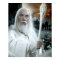 GANDALF™ with Staff
