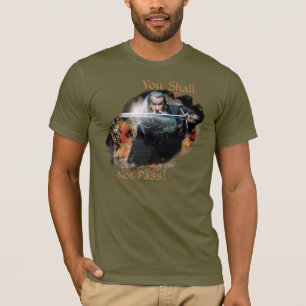 Gandalf You Shall Not Pass T-Shirt