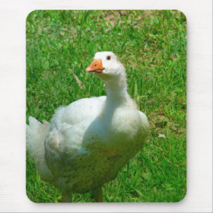 Gander Mouse Pad