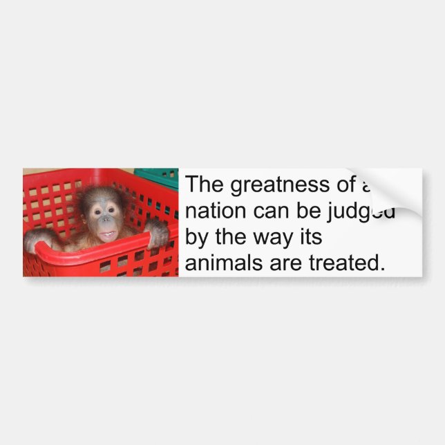 Gandhi Animal Quote Cute Baby Bumper Sticker (Front)