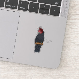 Gang gang cockatoo bird cartoon illustration