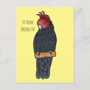 Gang gang cockatoo bird cartoon illustration  postcard