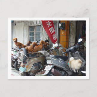 Gang of Doxies postcard