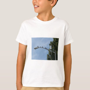 Gang Of Eight Pigeons Sitting On The Lamp Post Nea T-Shirt