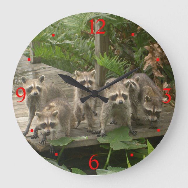 Gang of Raccoons> Animal Wall Clocks (Front)