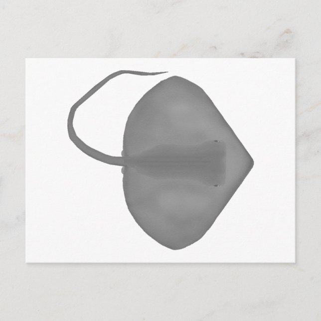Ganges Stingray Postcard (Front)