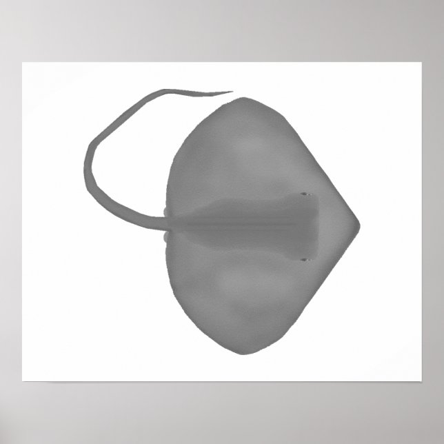 Ganges Stingray Poster (Front)