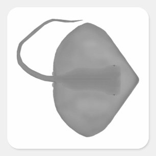 Ganges Stingray Square Sticker