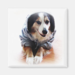 Gangsta Dog Wearing Hoodie Magnet