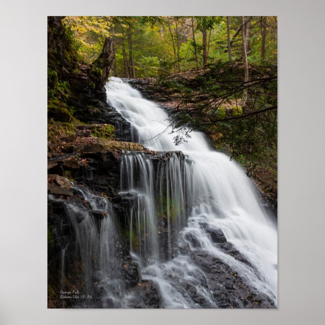 Ganoga Falls 11"x14" Poster (Front)