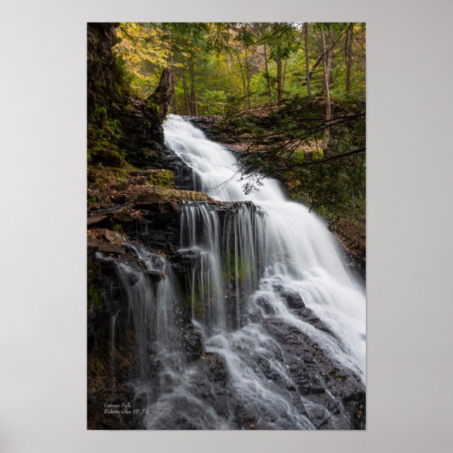 Ganoga Falls 13"x19" Poster (Front)