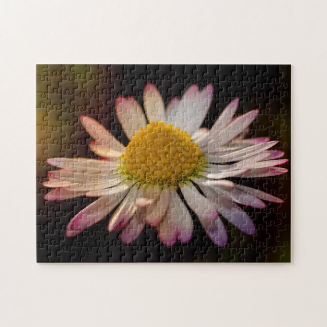 Gänseblümchen Jigsaw Puzzle (Horizontal)