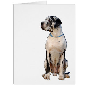 Ganz große Doggen Karte
