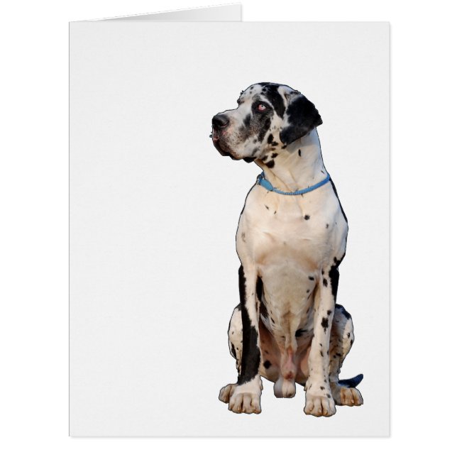 Ganz große Doggen Karte (Front)