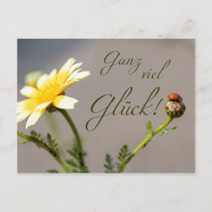 Ganz viel Glück - mit Marienkäfer! Postcard