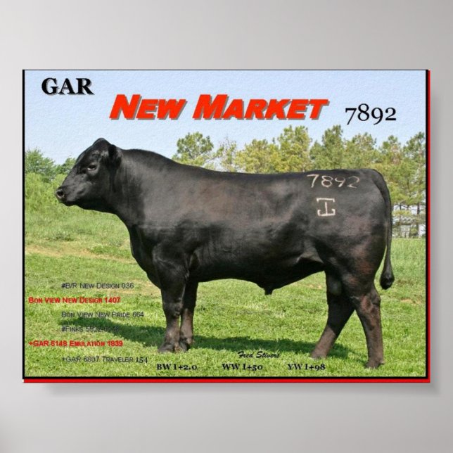 GAR NEW MARKET POSTER (Front)