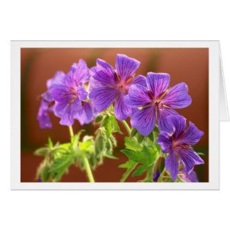 Garanium Flower Card