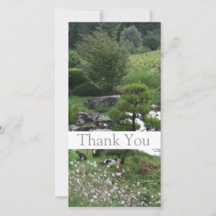 Garden 3 with Cats Thank You Photo Cards 1