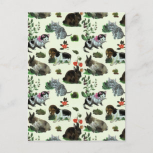 Garden Animals Rabbit Cat Dog Flowers Holiday Postcard