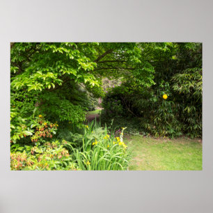 Garden Background Poster