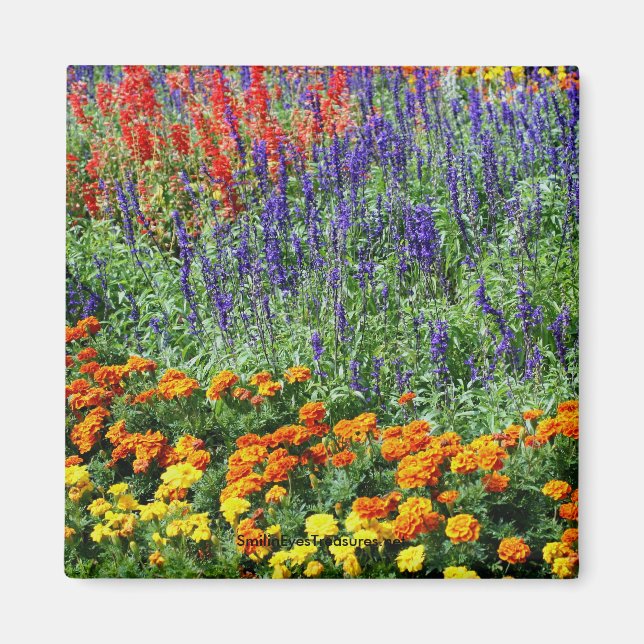 Garden Beauty Flower Photography Magnet (Front)