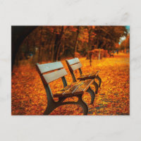 Garden Benches in the Autumn