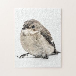 Garden Bird Jigsaw Puzzle