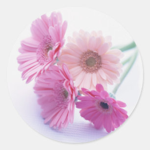Garden Bounty 8 Classic Round Sticker