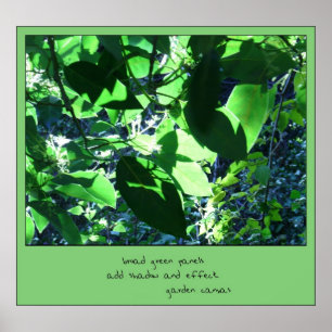 Garden Canvas Haiku Art Print