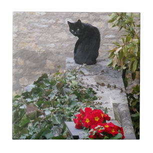 Garden Cat Ceramic Tile