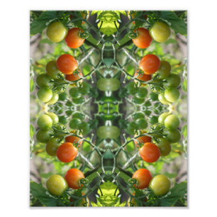 Garden Cherry Tomatoes Abstract Nature 8x10      Photo Print