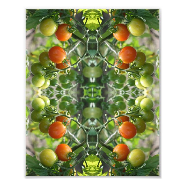 Garden Cherry Tomatoes Abstract Nature 8x10      Photo Print (Front)