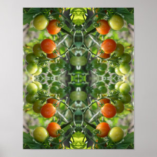 Garden Cherry Tomatoes Abstract Nature Poster