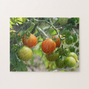 Garden Cherry Tomatoes Nature Jigsaw Puzzle