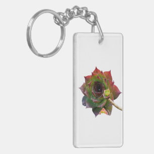 Garden Colourful Succulent Sempervivum Plant Key Ring