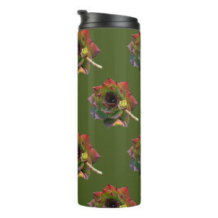 Garden Colourful Succulent Sempervivum Plant Thermal Tumbler