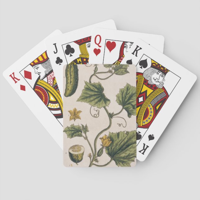 Garden Cucumber, plate 4 from 'A Curious Herbal', Playing Cards (Back)