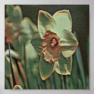 Garden daffodil flowers poster
