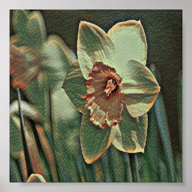 Garden daffodil flowers poster (Front)