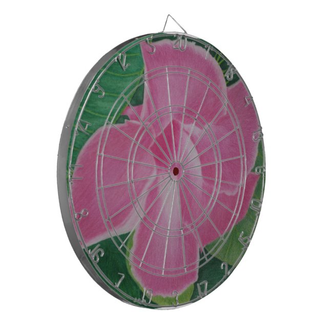 Garden Delight Dartboard (Front Left)