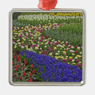 Garden design of Grape Hyacinth, and tulips, Metal Ornament