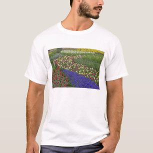 Garden design of Grape Hyacinth, and tulips, T-Shirt